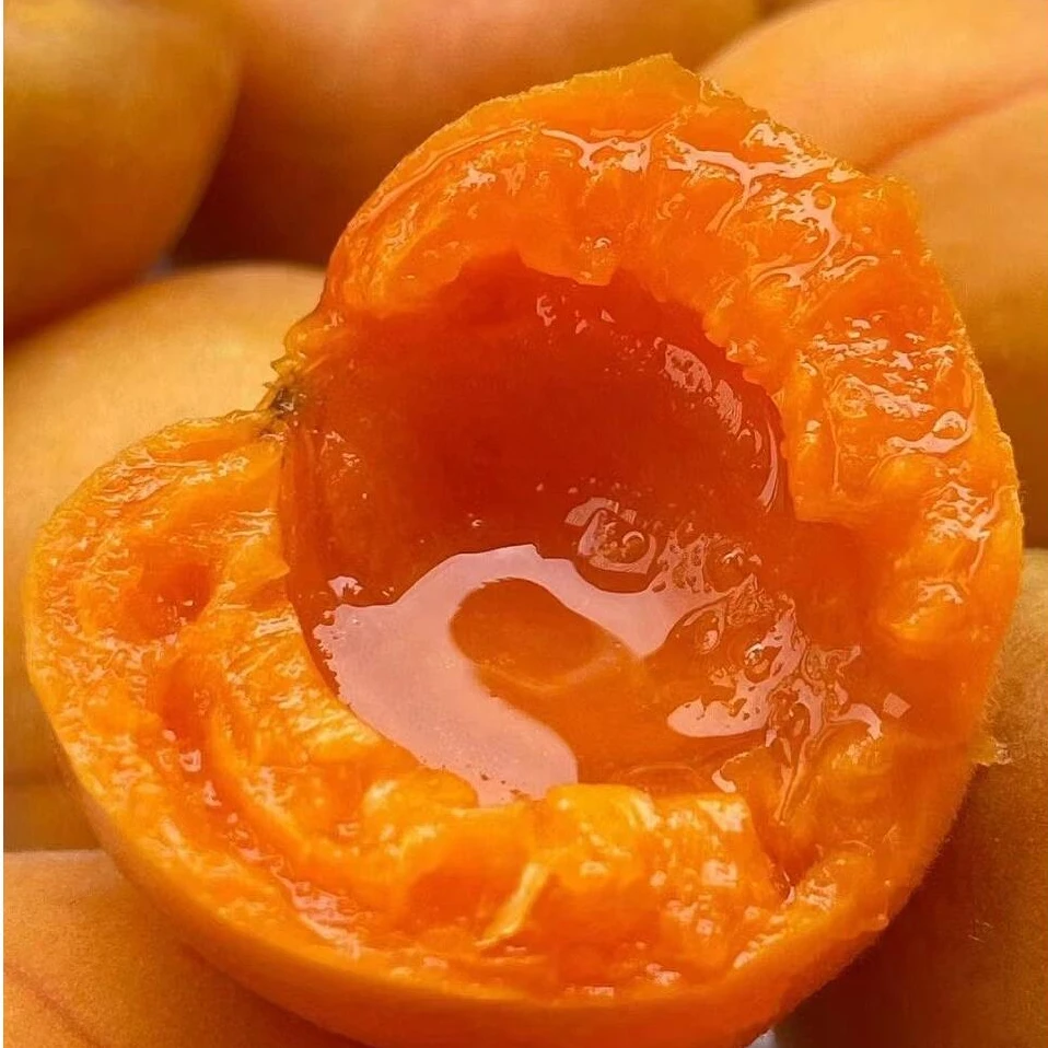 【京东空运】四团小红杏3斤装净重新疆阿克苏产地直发京东空运包邮