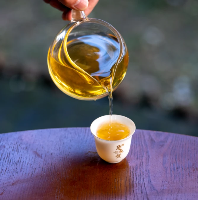 2024年芭蕉林头春头采古树纯料生茶散茶50克