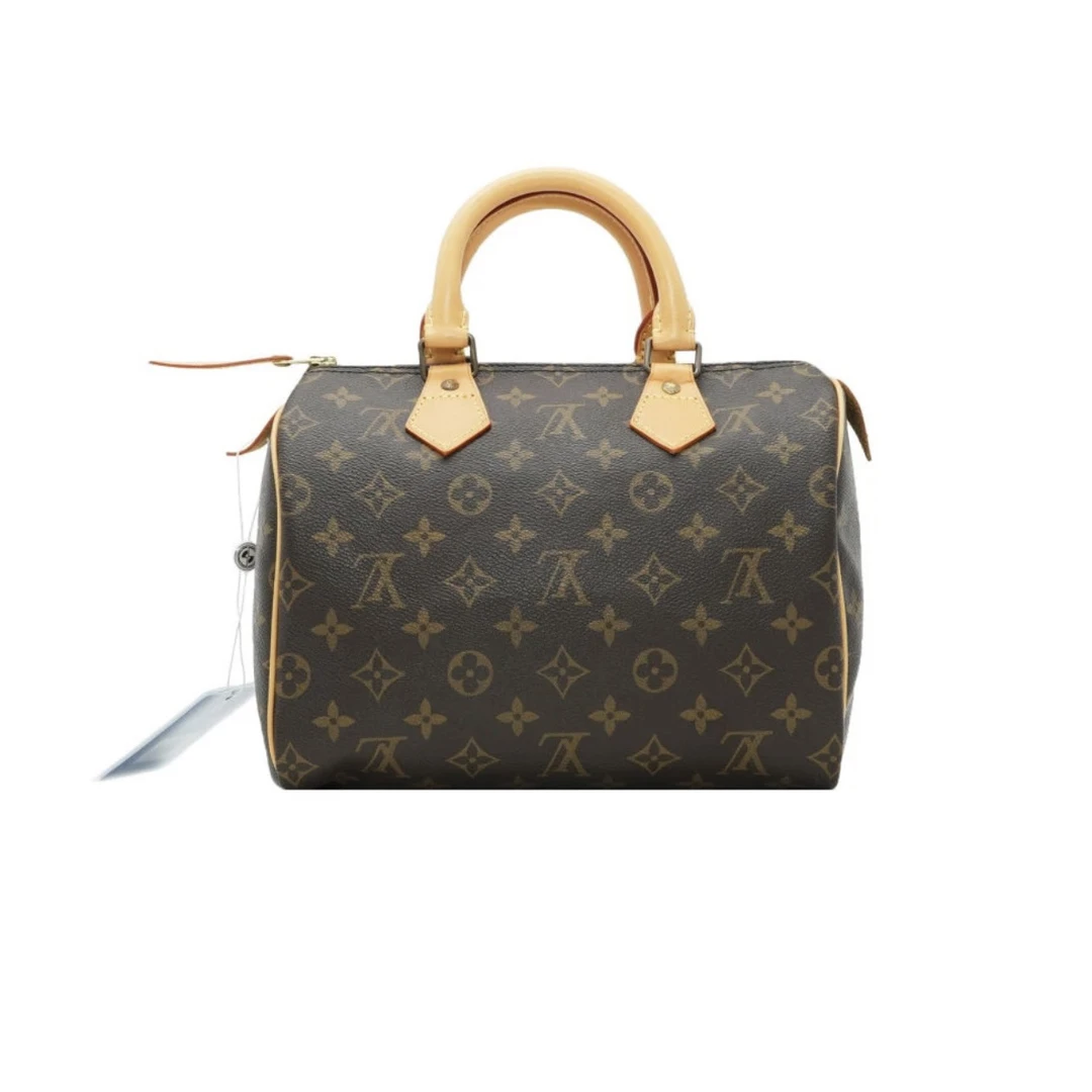 95新 LouisVuitton/路易威登 兔兔奢/LVspeedy枕头25/231028048