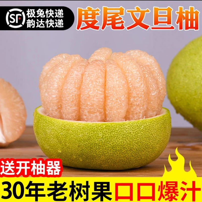 正宗度尾老树文旦柚莆田时令应季水果新鲜采摘精选汁水饱满红心柚