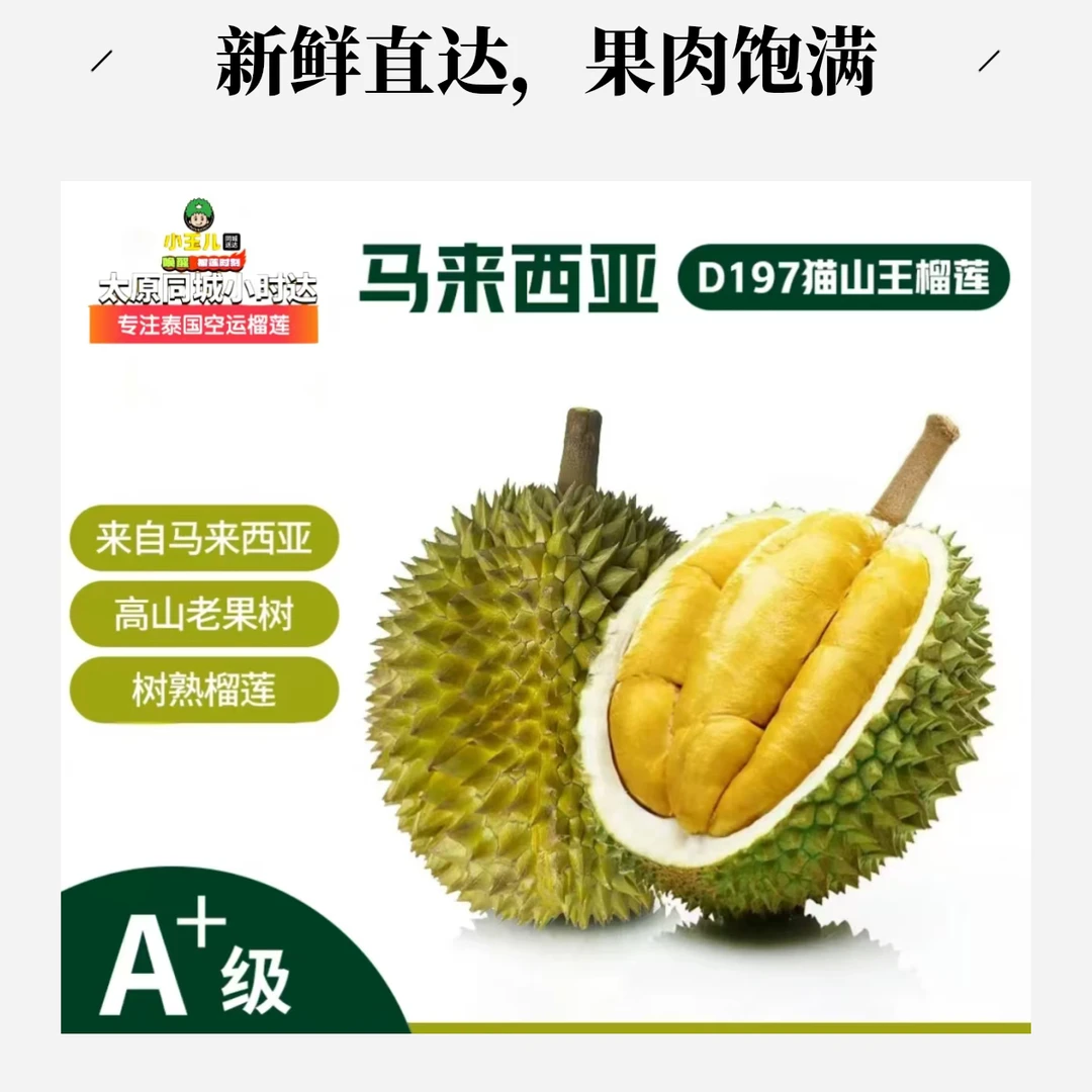 马来西亚 猫山王榴莲AA级  D197  保5房 33%出肉率   （一果一价）现拍现发 同城到家