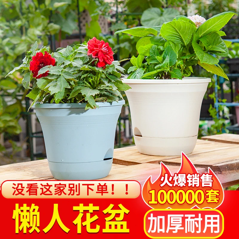 懒人自吸水花盆塑料花盆新款绿萝阳台室内花盆