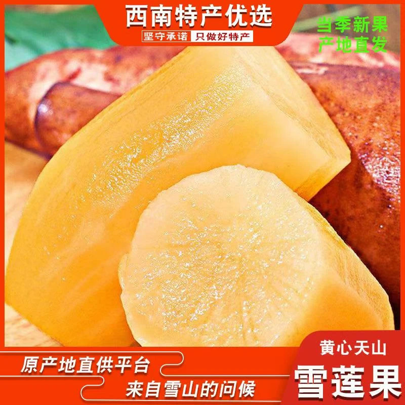 【头茬黄金雪莲果】正宗云南天山黄金雪莲果新鲜营养丰富多汁zsy