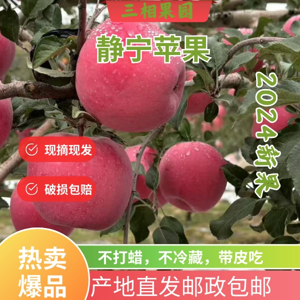 甘肃静宁苹果产地直发直播糖心苹果新鲜水果24枚家庭款静宁苹果