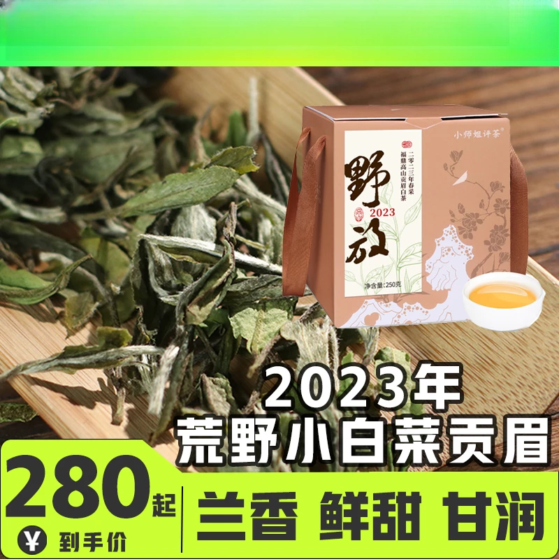 2023小白菜高山贡眉散茶野放福鼎白茶小师姐评茶827专享