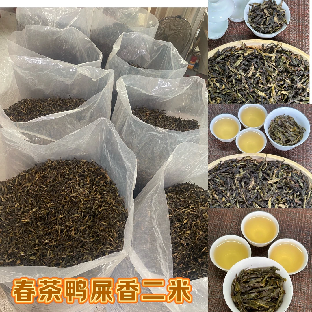 凤凰单丛茶【春茶鸭屎香二米】高香 银花香醇甜  回甘好 袋装