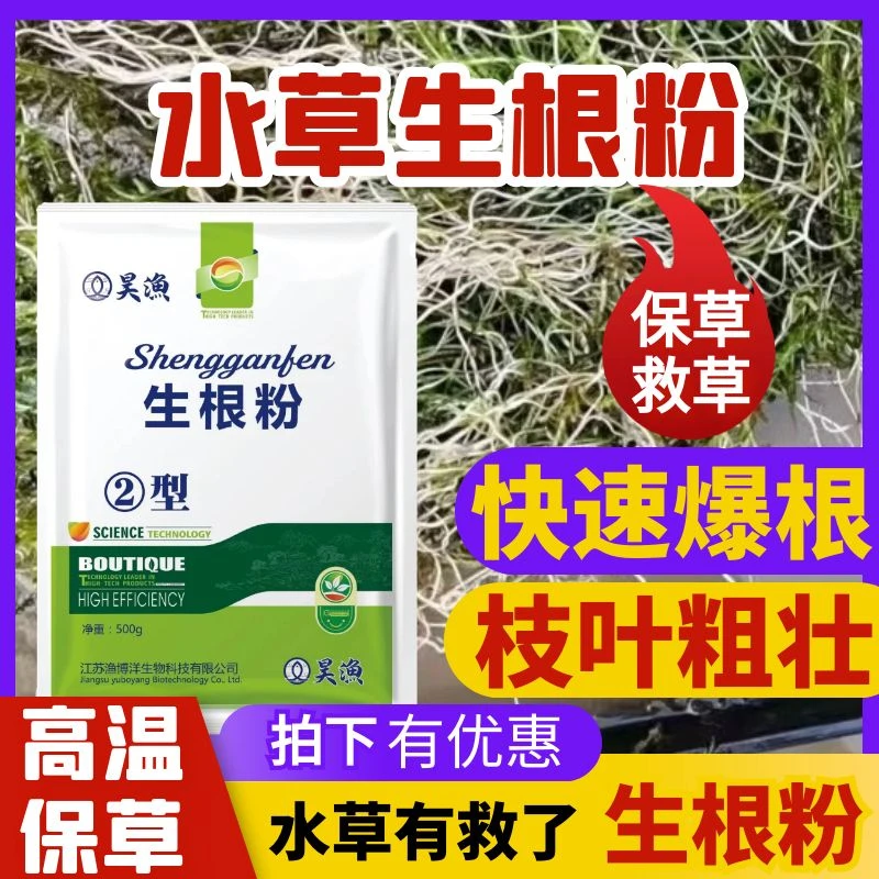 生根粉虾蟹塘水草长根伊乐草专用肥肥料养殖长草强力生根高温保草