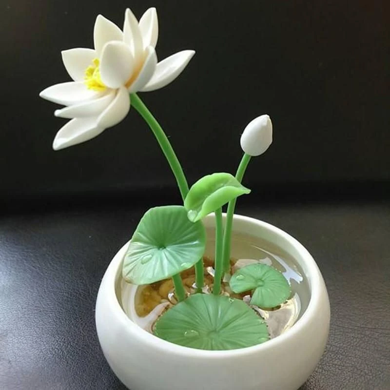 【5天发芽】水培七彩莲花莲子碗莲种子水生植物四季花卉室花盆种