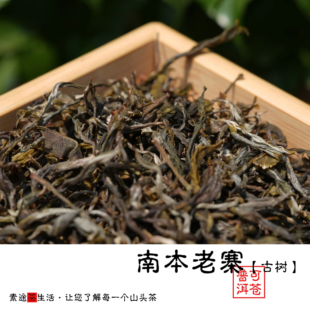 南本老寨2025年春茶小叶古树云南普洱生茶勐宋普洱茶生茶茶叶