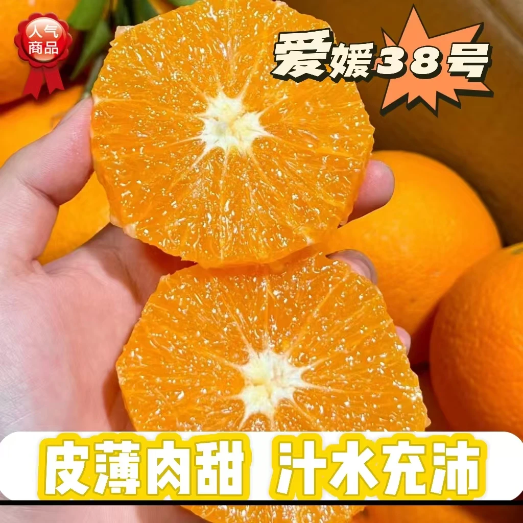 【爱媛38号果冻橙】薄皮手剥橙孕妇应季新鲜水果