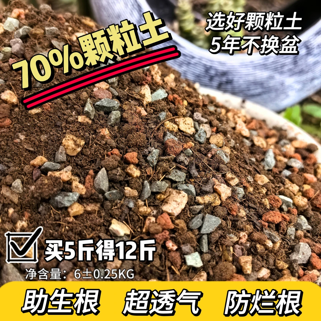 多肉专用土兰花多肉土专用营养土颗粒通用进口泥炭土壤营养土养花