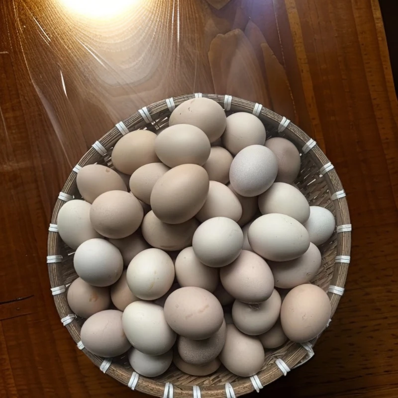 30枚果林散养农家土鸡蛋