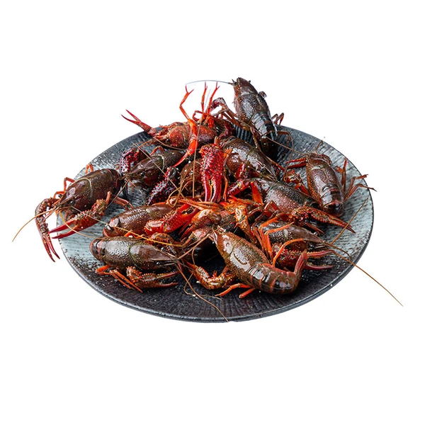 鲜活中号小龙虾 1.5kg（18-28g/只）