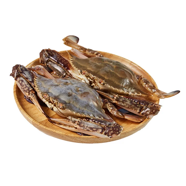 【开海季】鲜活梭子蟹(2-5只） 约500g