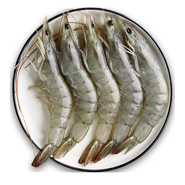 【抖音小时达】冻虾 1kg