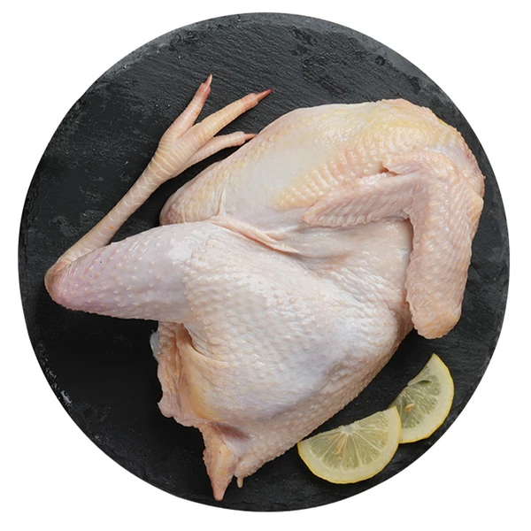 鲜鸡(母鸡) 1.45kg