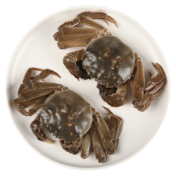 鲜活大闸蟹4只(单只80g起) 320-400g