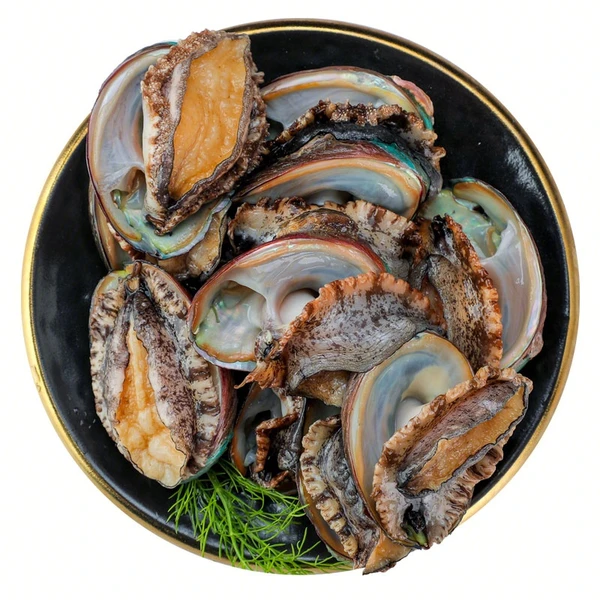 鲜活连江小鲍鱼 15-23g/粒