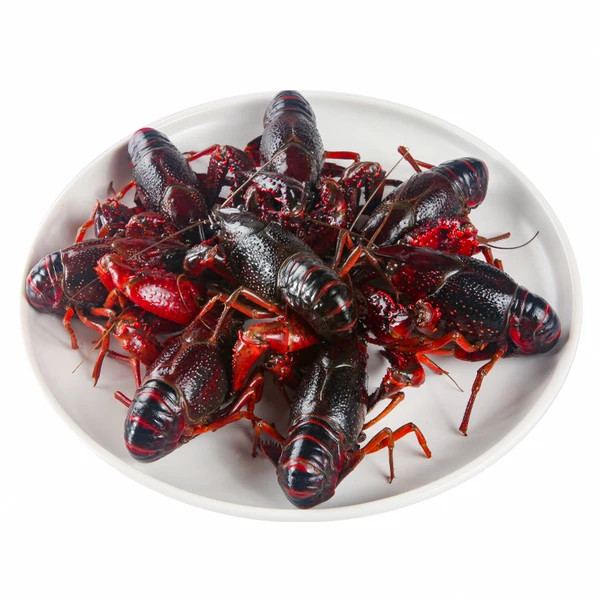 【抖音小时达专享】鲜活中号小龙虾 1500g小龙虾制品小龙虾制品小龙虾制品