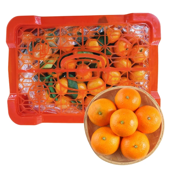 【渠道专享】砂糖桔箱装 2.5kg