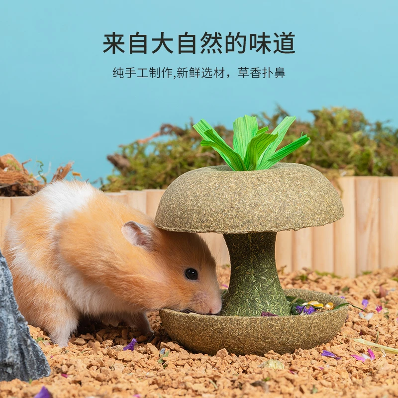 泡泡有球球 卡诺仓鼠粮食苹果核磨牙棒金丝熊小零食磨牙造景用品