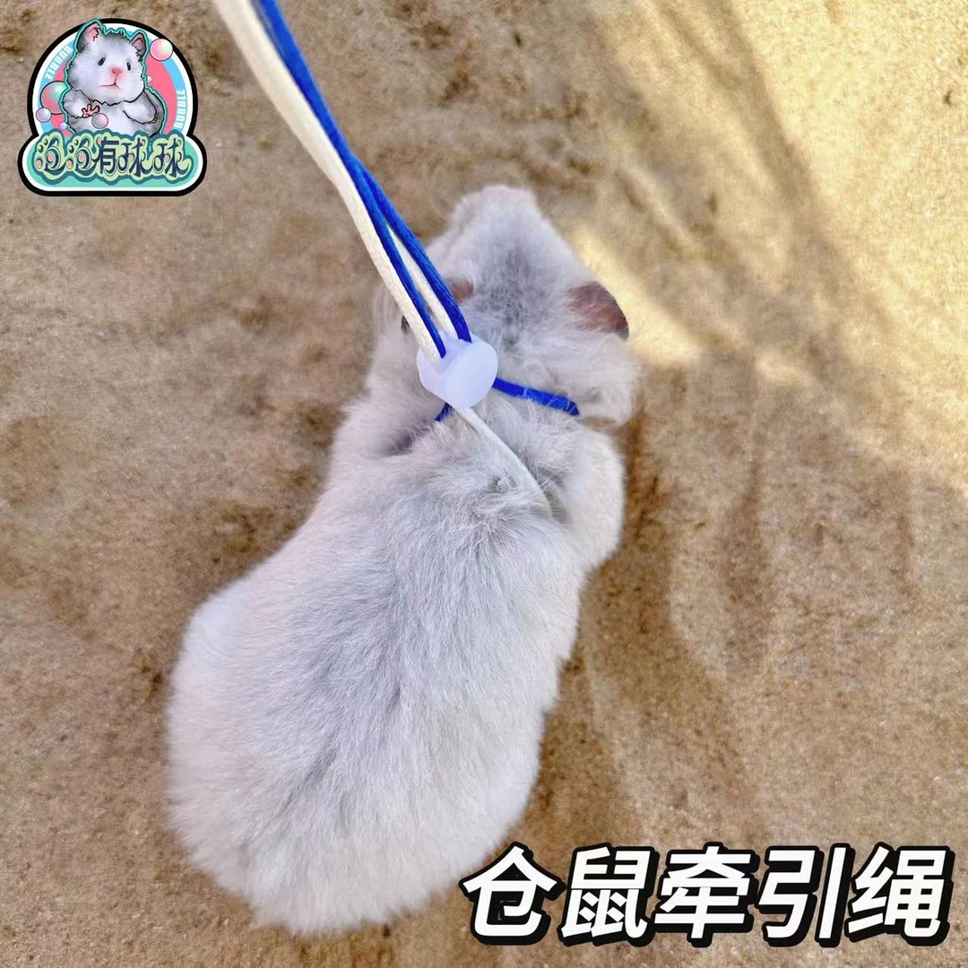 泡泡有球球 仓鼠牵引绳金丝熊溜鼠豚鼠兔子荷兰猪小宠外出绳子
