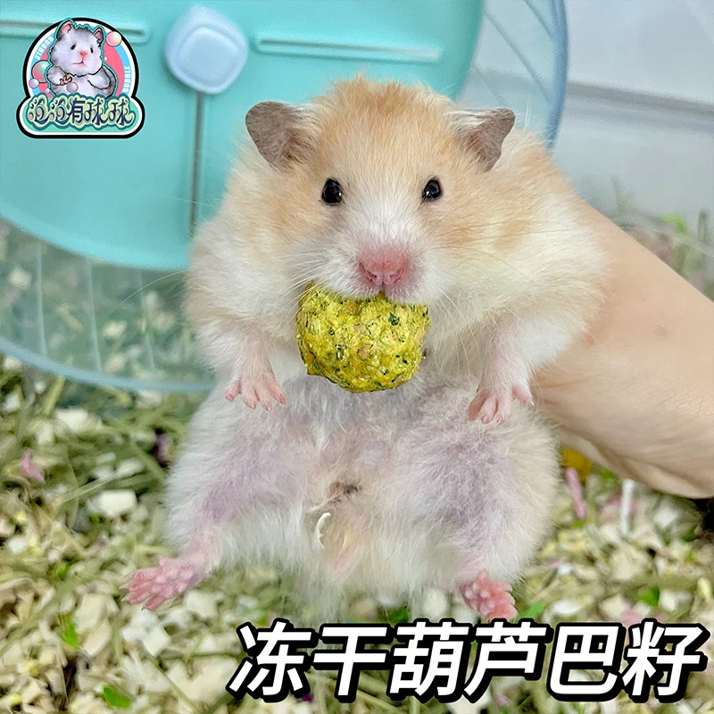 泡泡有球球 冻干葫芦巴籽球金丝熊仓鼠花枝鼠零食互动躺手控糖