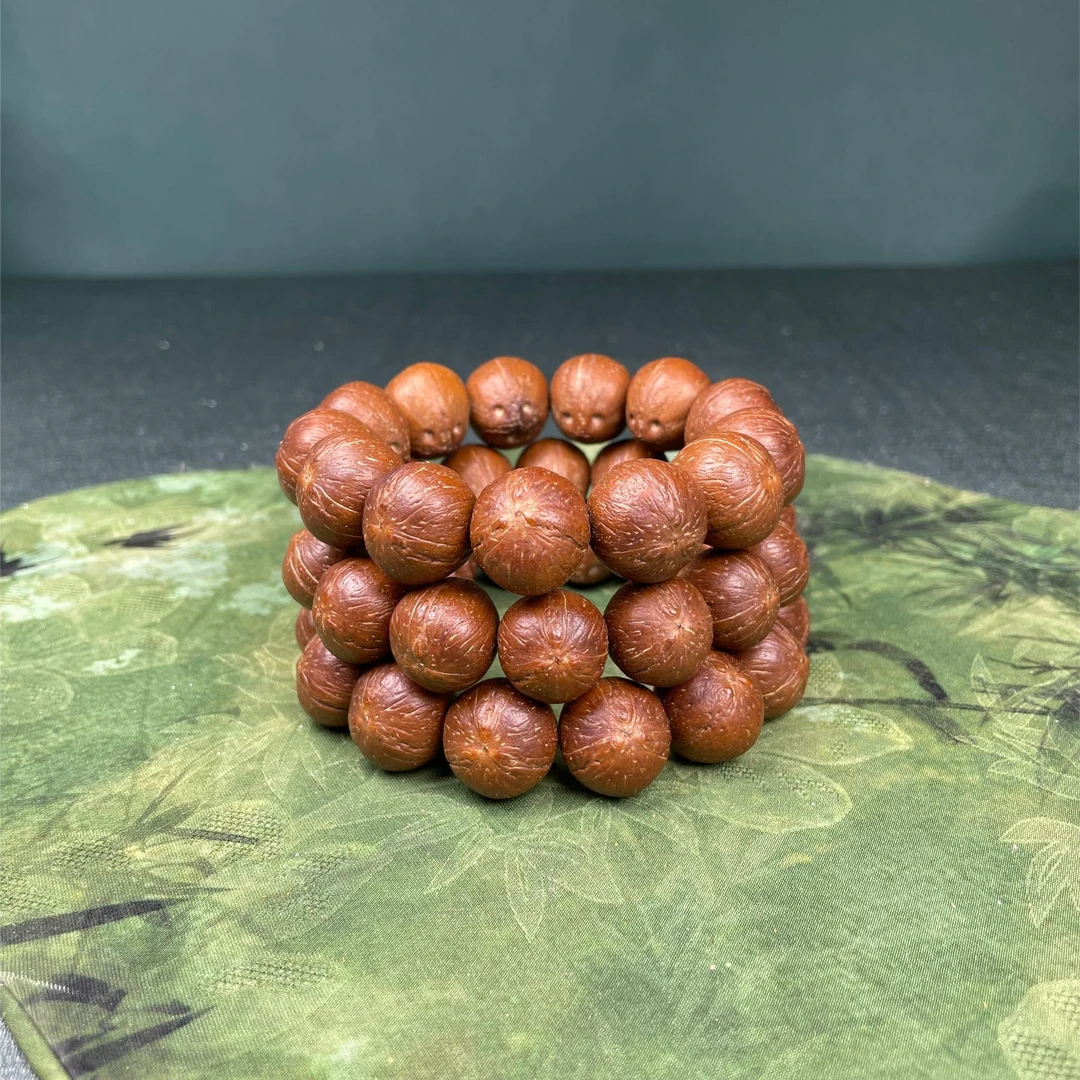 【大包子鼠·耐磨耐造】紫金鼠原皮鼠 新手闭眼入