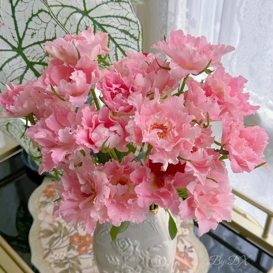 【彼方】稀有多头玫瑰 玖枝花优选基地直发鲜花儿