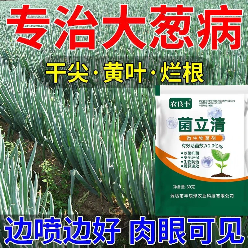 大葱干尖灵大葱专用黄叶干尖根腐叶斑锈病发霉软腐防治微生物菌