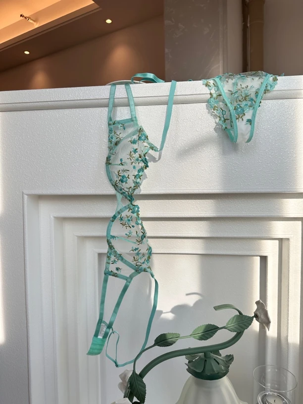 懒驴苦茶酱•法式ins浪漫之都 文胸套装