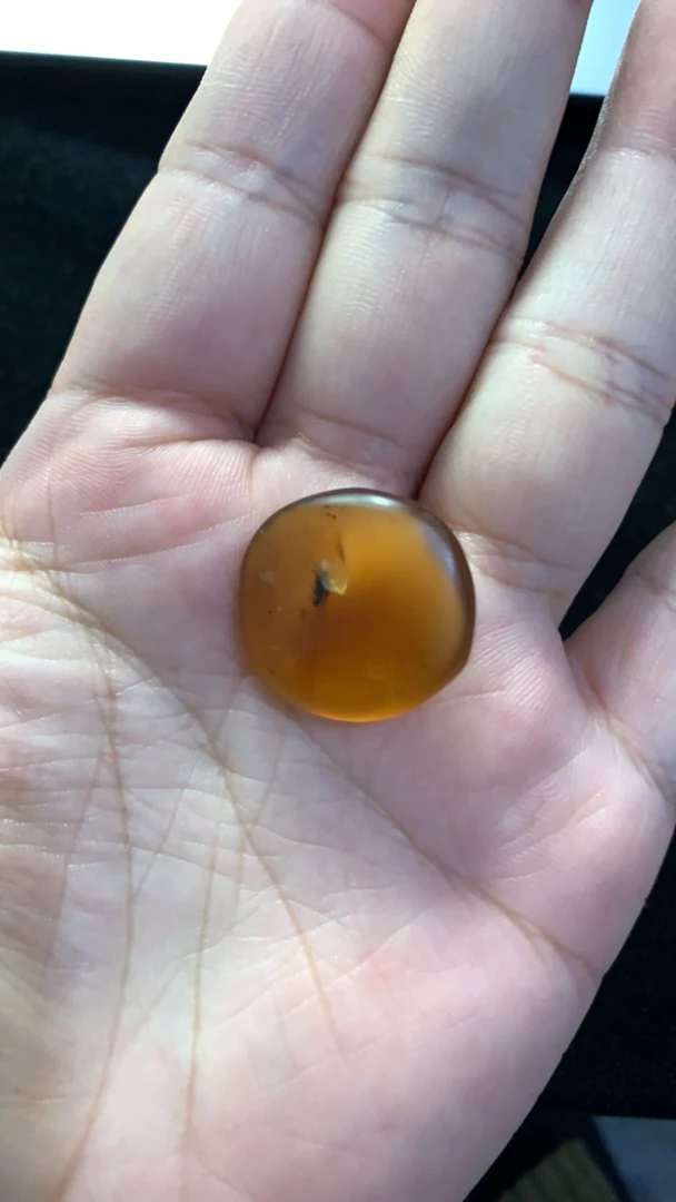 缅甸虫珀标本替价链接