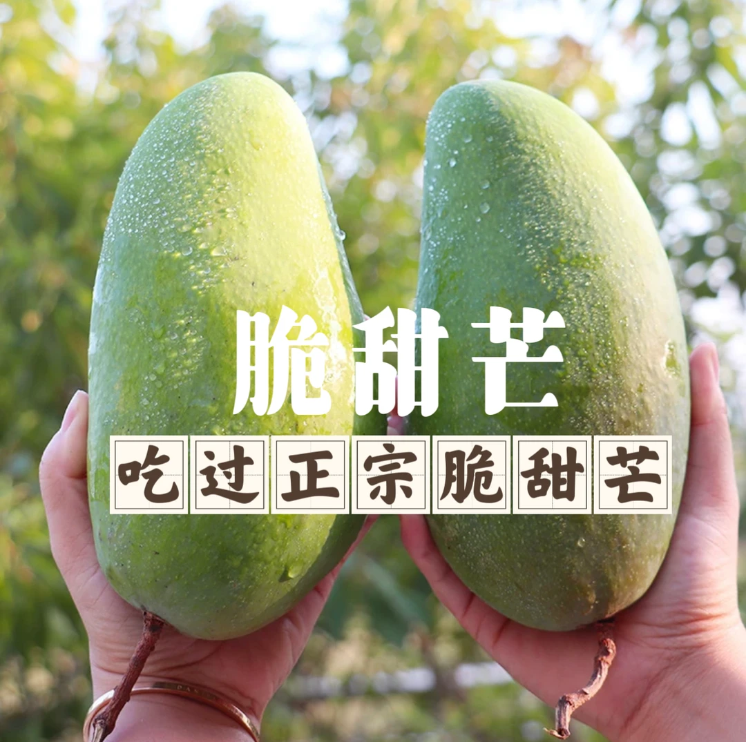 越南甜心芒脆甜芒生吃脆甜熟了纯甜小金煌芒生熟送辣蘸料新鲜整箱