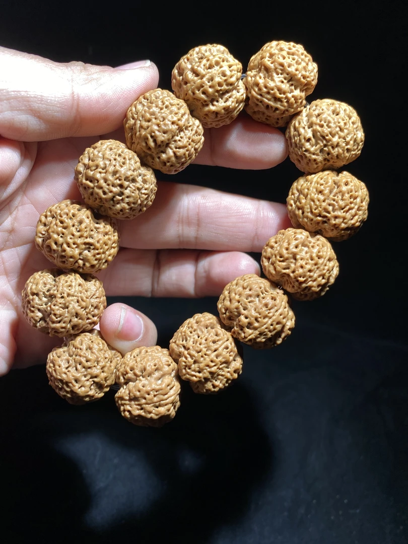尼泊尔大金刚满天星菠萝蜜一步到位