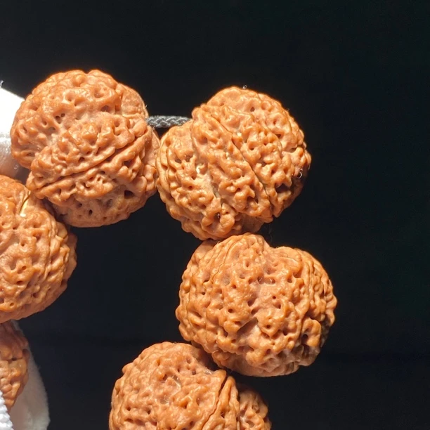 【飞天梅花】大金刚一条毕业肉成菠萝蜜梅花桩菩提手串