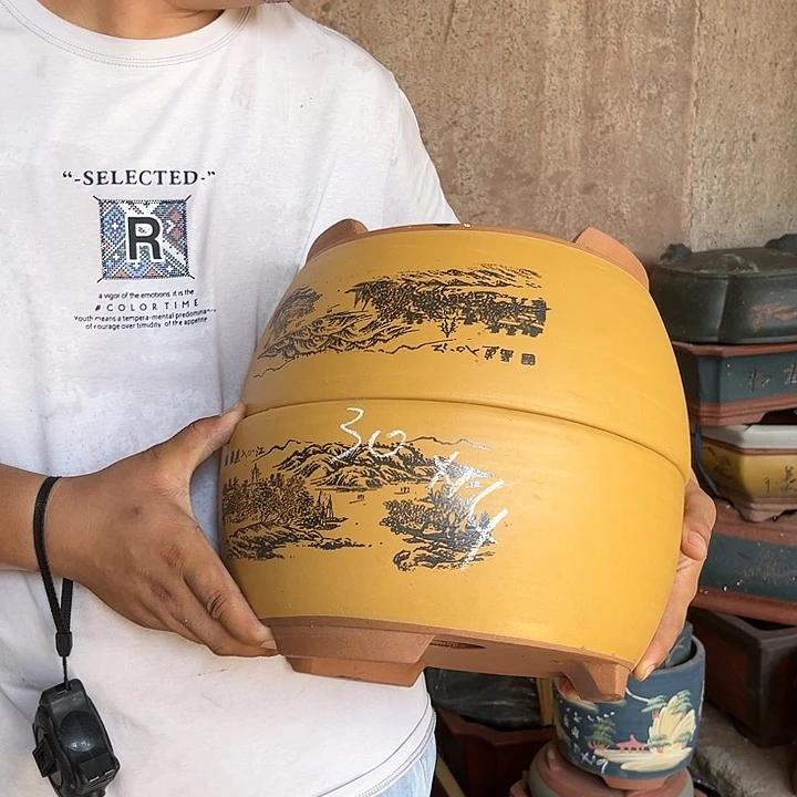 紫砂20CM(含)-50CM(不含)