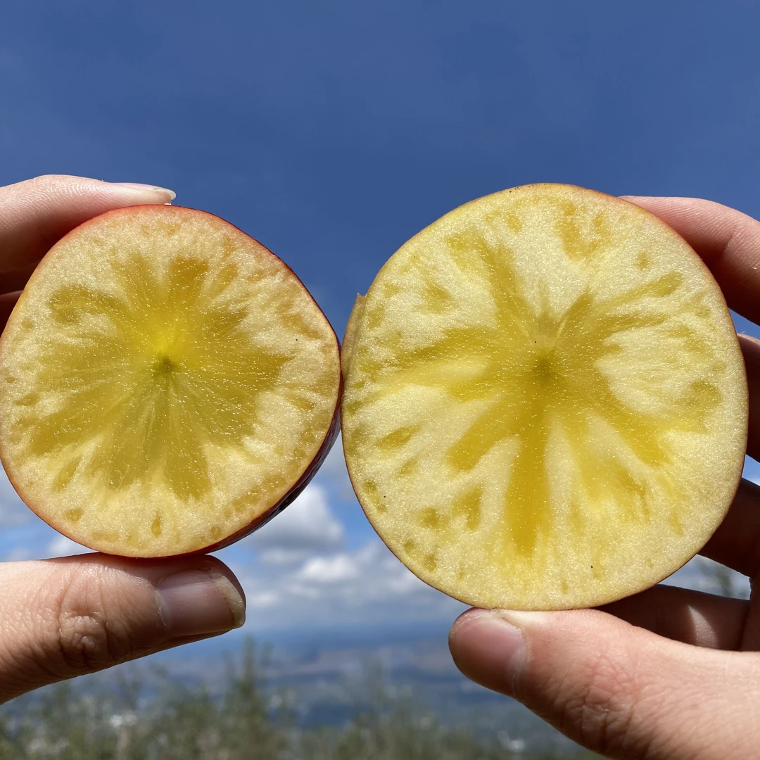 【糖心苹果】四川大凉山高原糖心苹果5/8斤现摘脆甜新鲜爽口自然