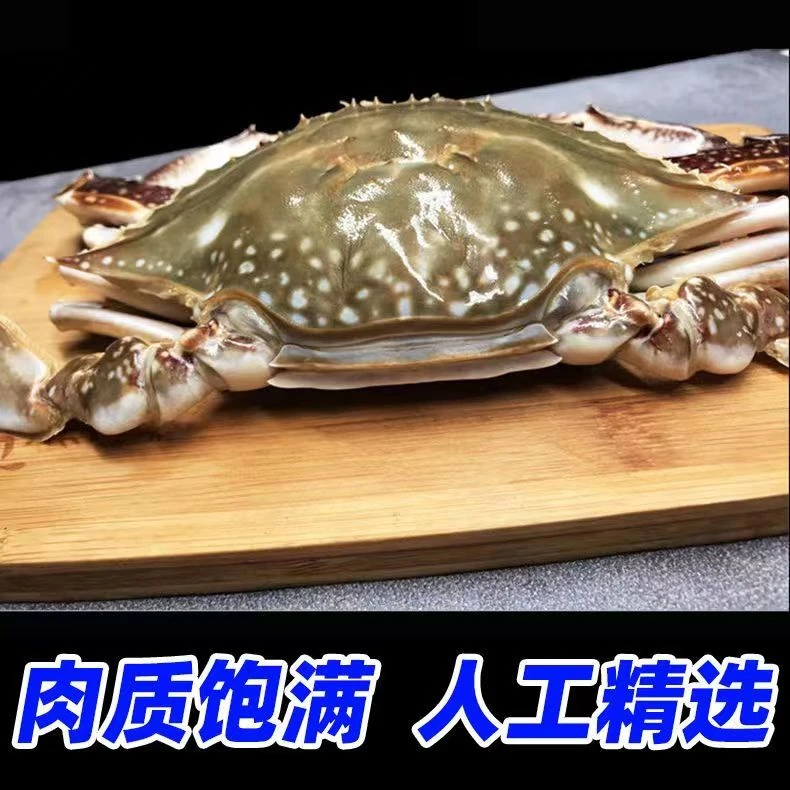 明黄母梭子蟹三点黄2-3两左右一只，2/3/4斤【保鲜不保活】