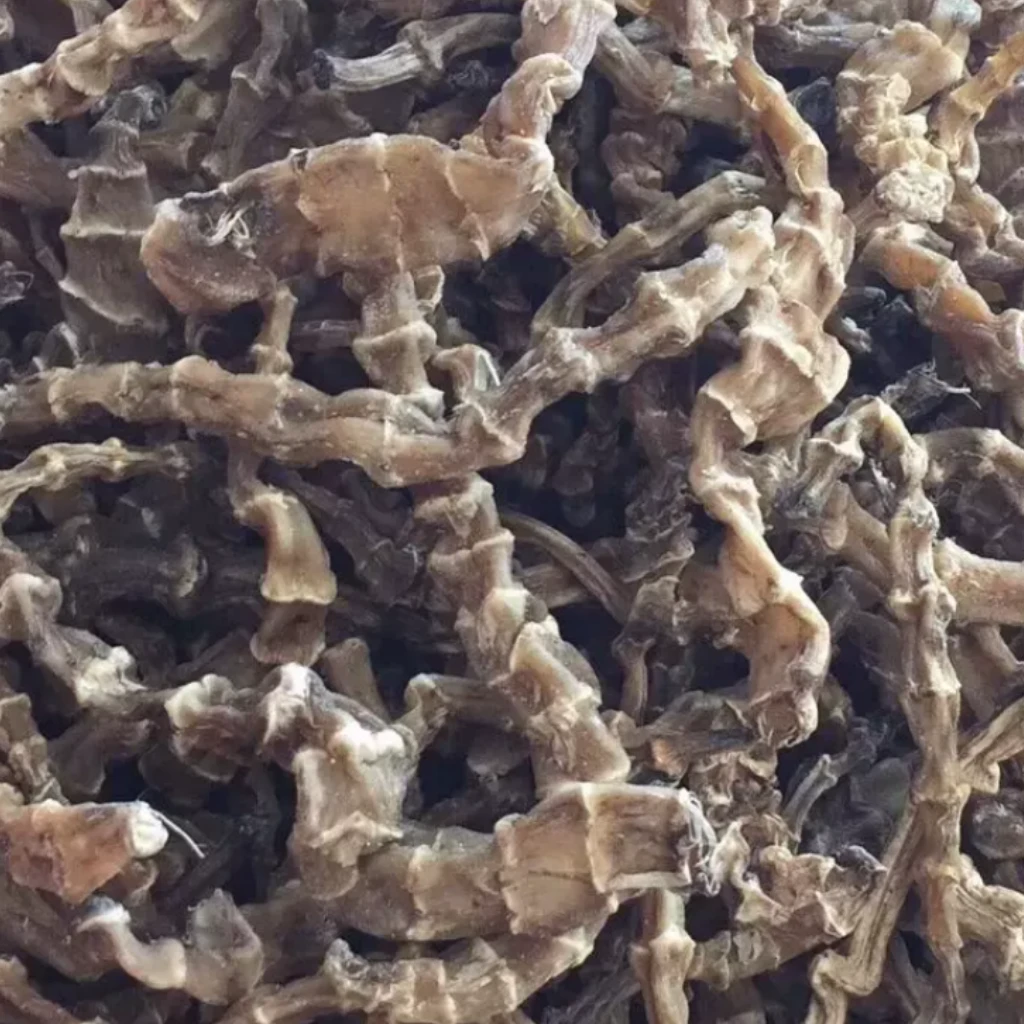 云南文山高海拔野生中药材高山虫草参地参竹根七