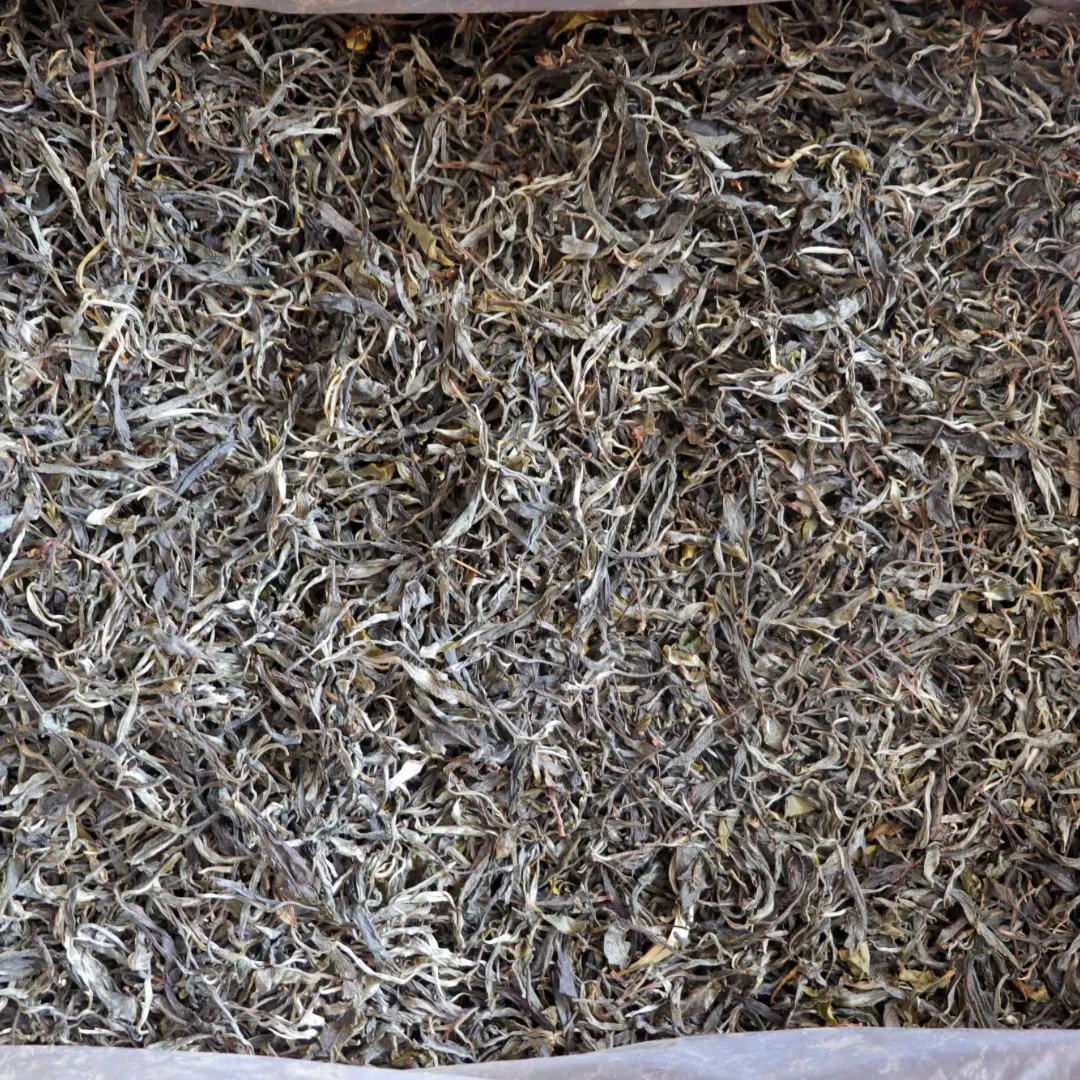 2024年南中茶子古树生茶200g/袋普洱