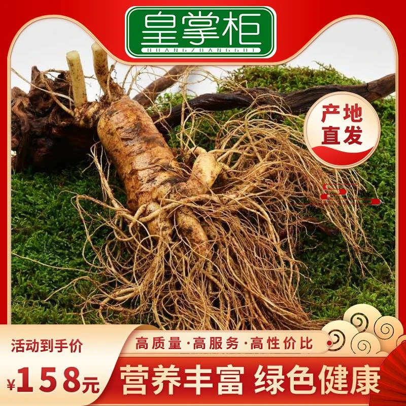 东北吉林长白山新鲜人参现挖泡酒炖汤【3两大货】