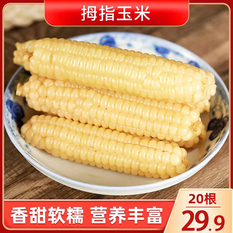 西双版纳拇指玉米香甜软糯营养丰富香糯健康l