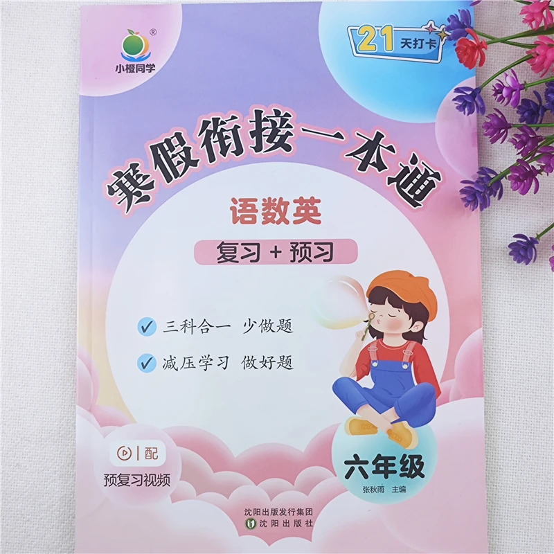 寒假衔接一本通六年级上册寒假作业人教版语数英复习资料衔接预习