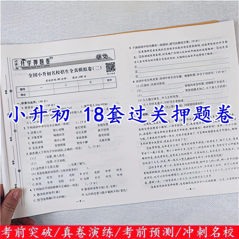 小升初真题卷人教版六年级下册试卷小升初全真模拟测试卷复习资料