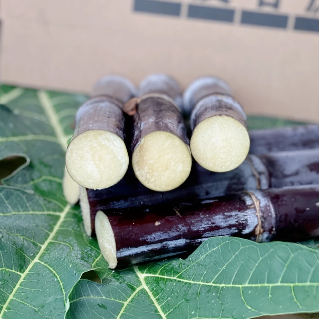 （配大削皮刀）新鲜当季现挖现发正宗水果黑皮甘蔗松脆多汁5斤9斤