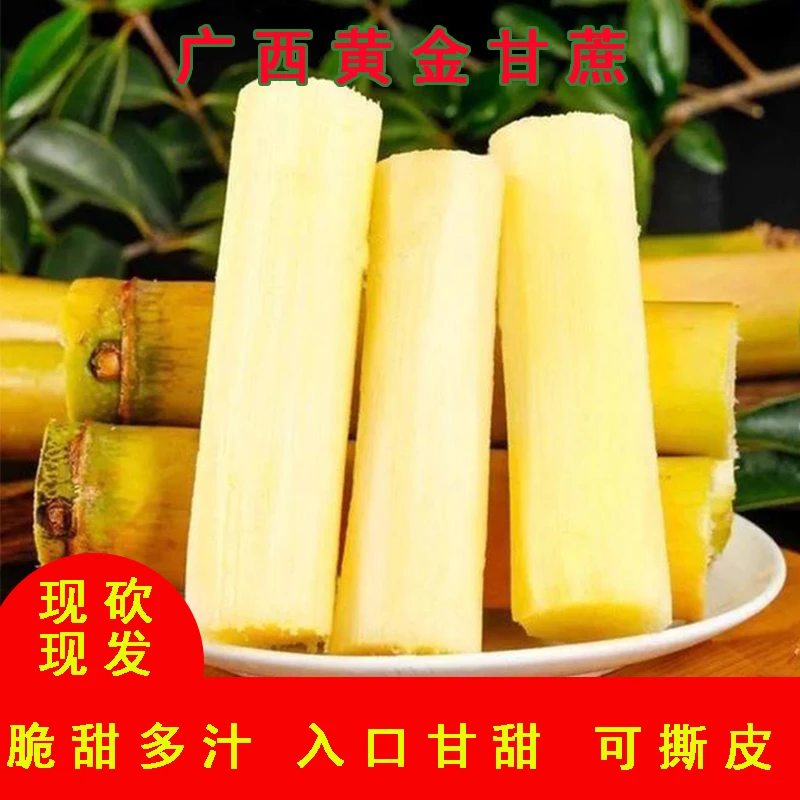 上新活动 广西黄金甘蔗新鲜现砍现发脆甜多汁5斤9斤