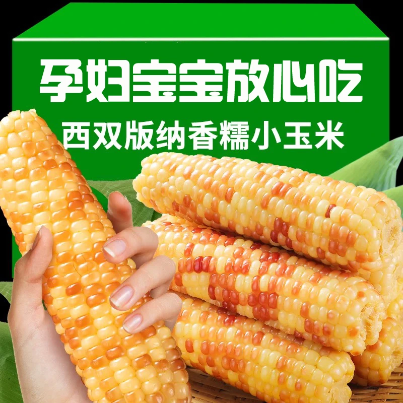 【陈】云南西双版纳香糯小玉米即食新鲜傣家糯玉米棒粗粮代餐1-5斤