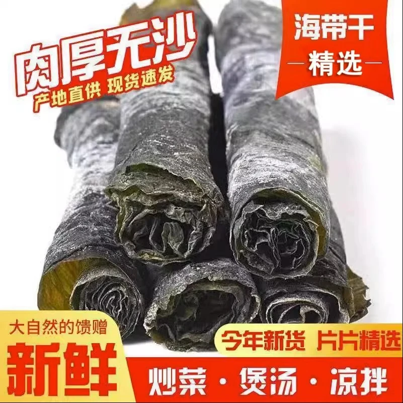 海带干货当季福建霞浦无干燥剂散装海带野生无盐海带新海产品海带