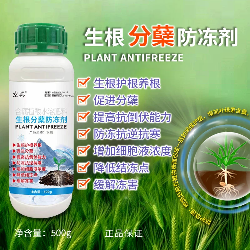 小麦年前生根护根养根壮苗促分蘖抗逆抗寒防冻缓解冻害叶面肥