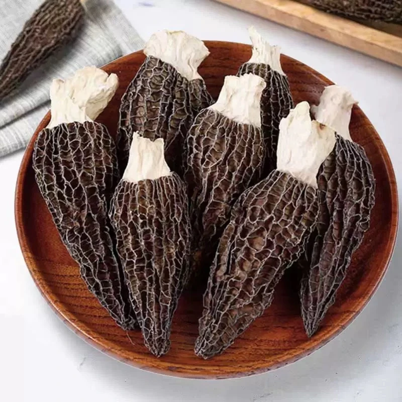 舞水之阳2023头茬羊肚菌 5-8cm肉质饱满 产地直销营养煲汤食用菌